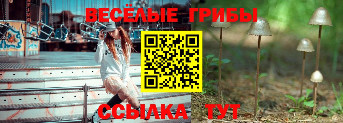 Псилоцибиновые грибы Psilocybe  Вход с VPN  Ухта 