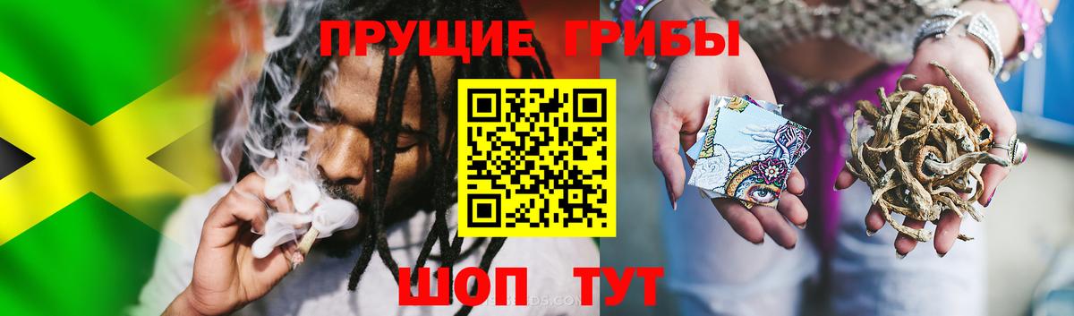 Псилоцибиновые грибы GOLDEN TEACHER Ухта